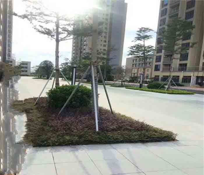 松崗村委統(tǒng)建樓:匯豐花園