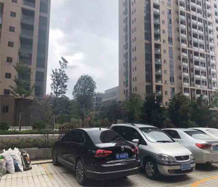 松崗村委統(tǒng)建樓:匯豐花園