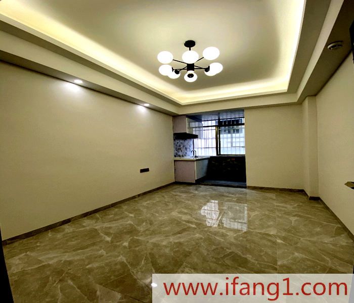 松仔園小產權房-民治首座