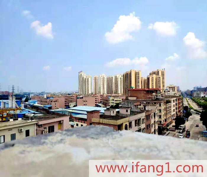 橫瀝小產權房出售信息