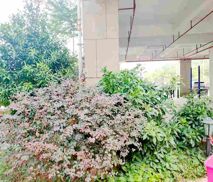 龍華最新小產(chǎn)權(quán)房：石巖國際3棟花園小區(qū)房