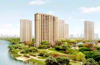 南頭村委統(tǒng)建樓-麒麟學(xué)府四棟花園房，精裝修家電，拎包入住